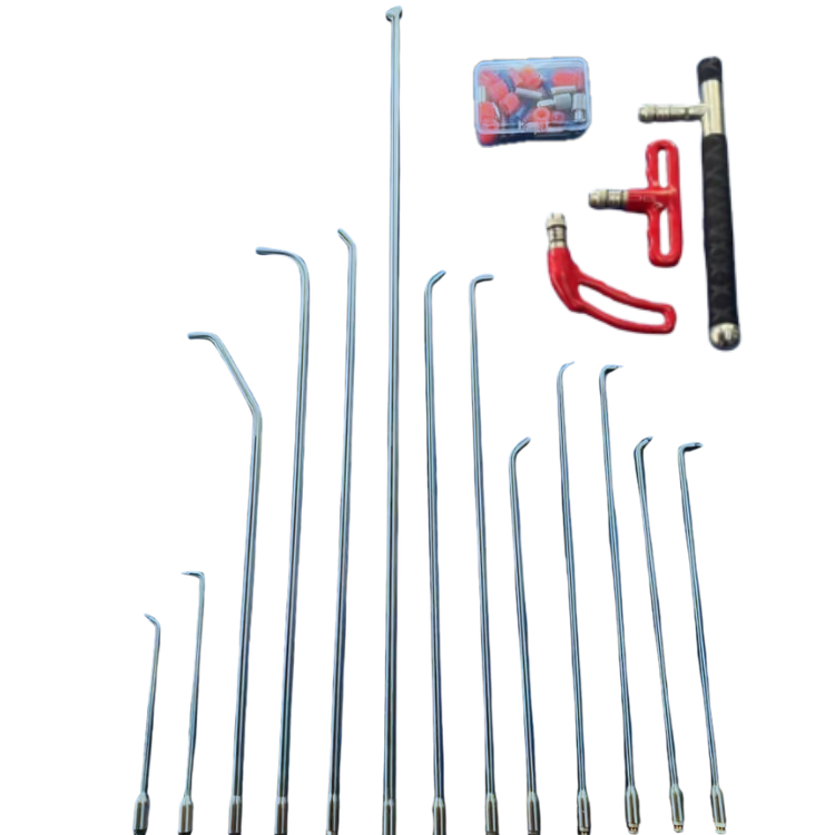 Dent Dominate 14pc Tool set with Handles and Tips